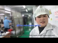 Настраиваемый ПЭТ мембранный переключатель для медицинского оборудования и промышленных приложений